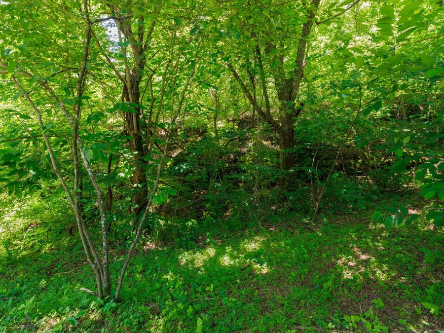 Property Image 67