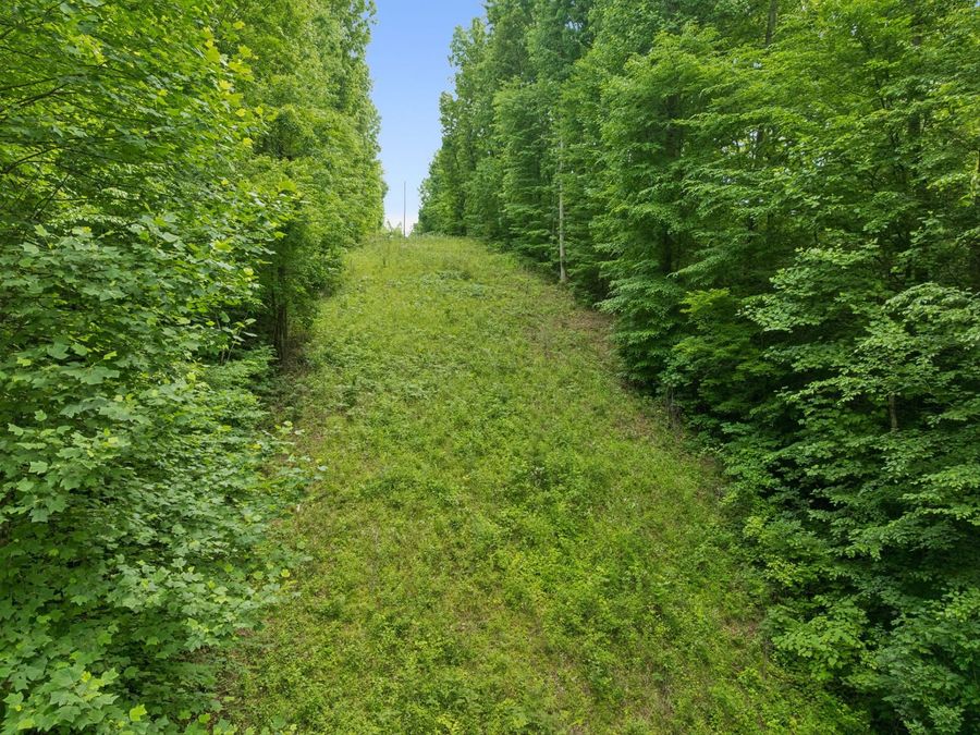 Property Image 33