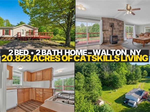 788 Teed Road , Walton, NY 13856