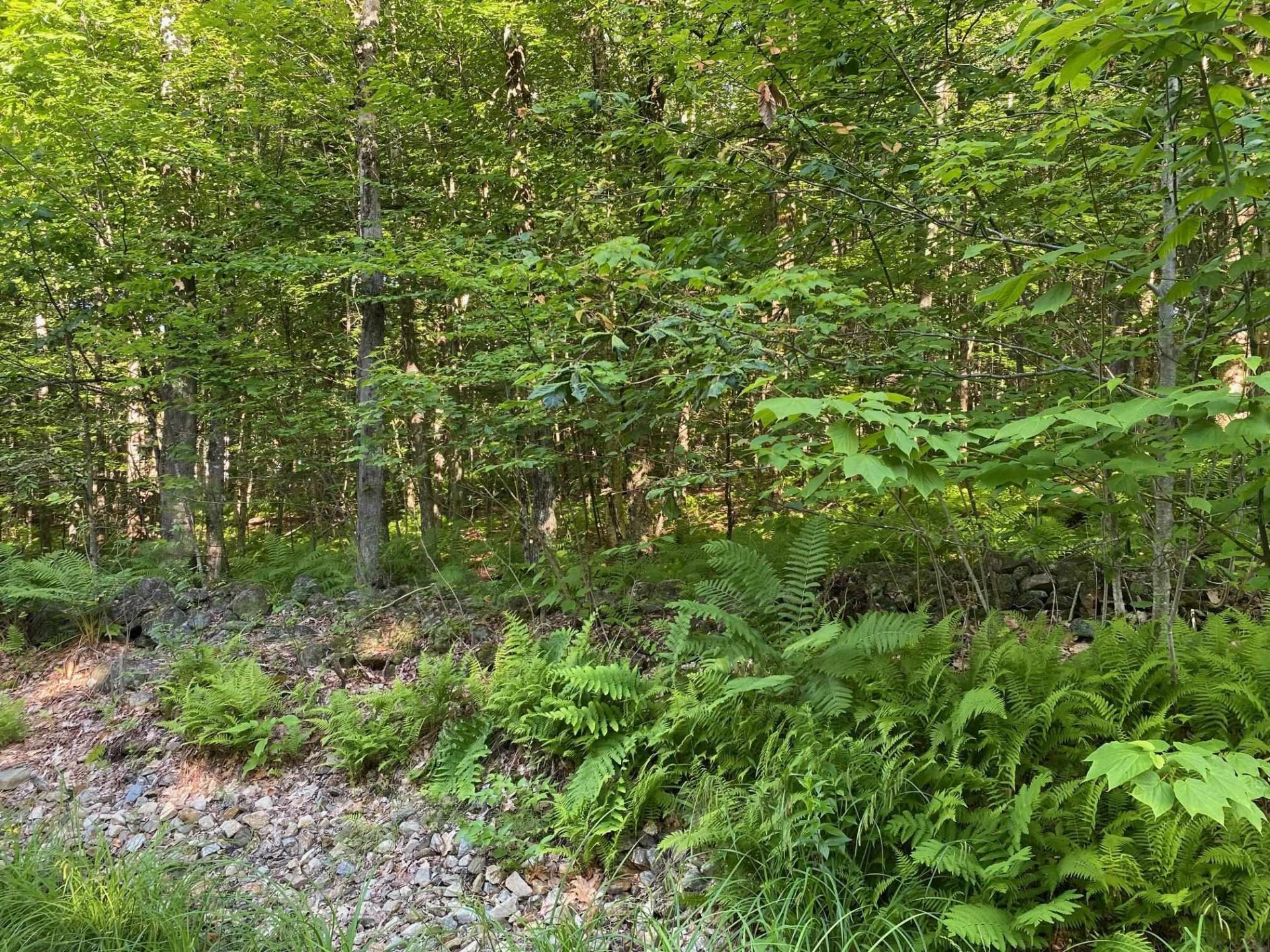 164 Lot 18-3 Mason Road, Milton, NH 03851 Main Photo