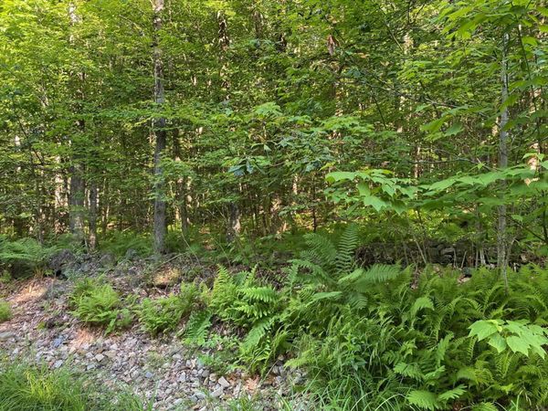 164 Lot 18-3 Mason Road, Milton, NH 03851