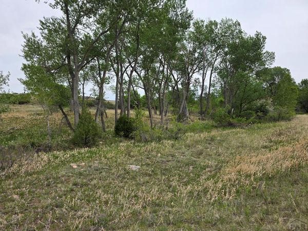 Lot 148 Leland Heights, Colorado City, CO 81019