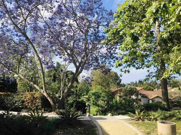 7405 Charmant Drive, Unit 2004, San Diego, CA 92122