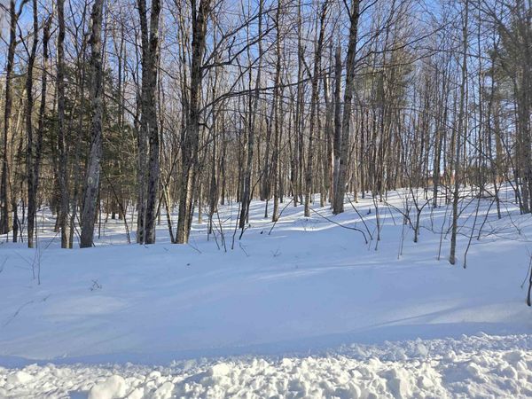 164 Lot 18-2 Mason Road, Milton, NH 03851