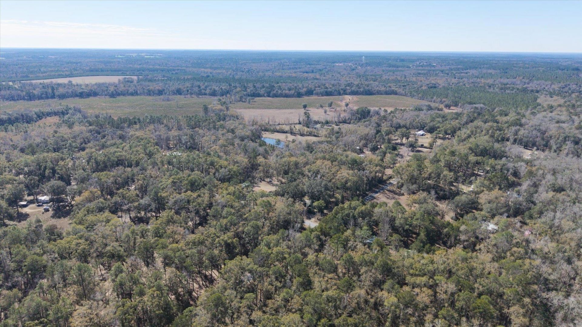 0 Quail Lane, Monticello, FL 32344 Photo