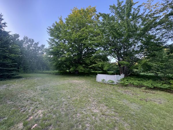 10590 N Hayes Lane, Carp Lake, MI 49718