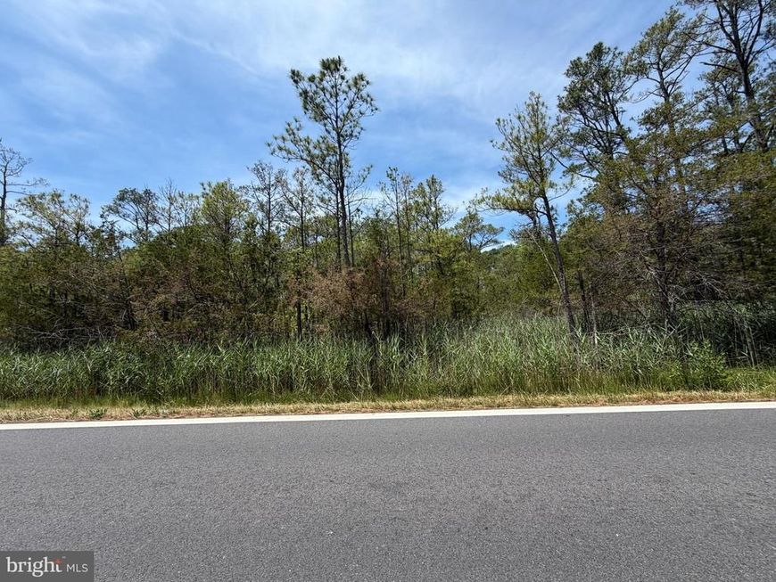 Parcel 517 Old State Road, Crisfield, MD 21817 Main Photo