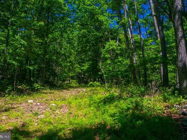 Lot 37 POPLAR TRL , WINCHESTER, VA 22602