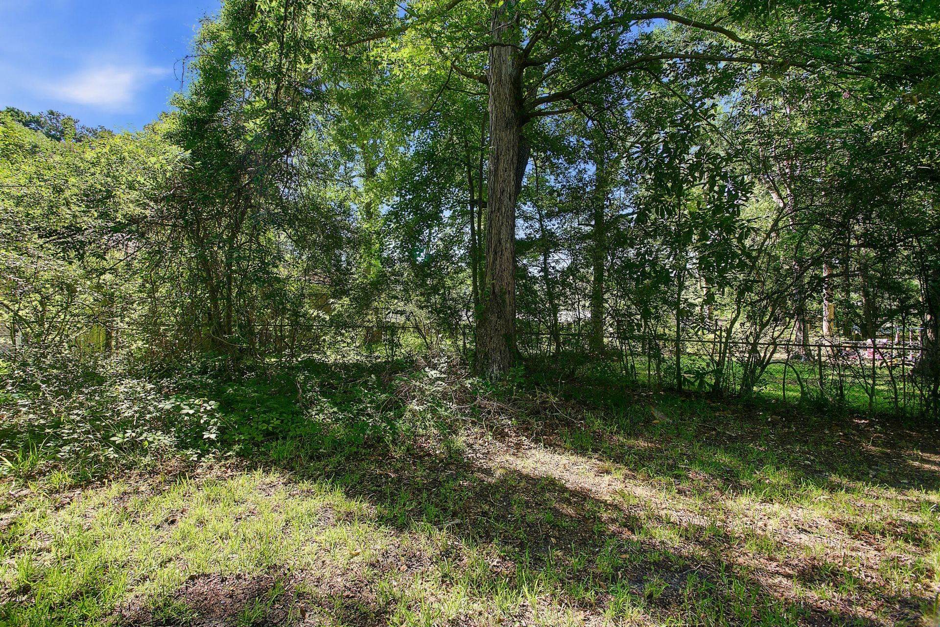 210 Elliott Drive Photo 37