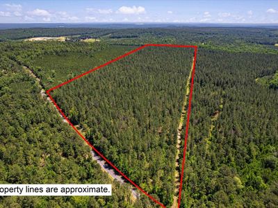 TBD Toms Creek Road , Hopkins, SC 28061