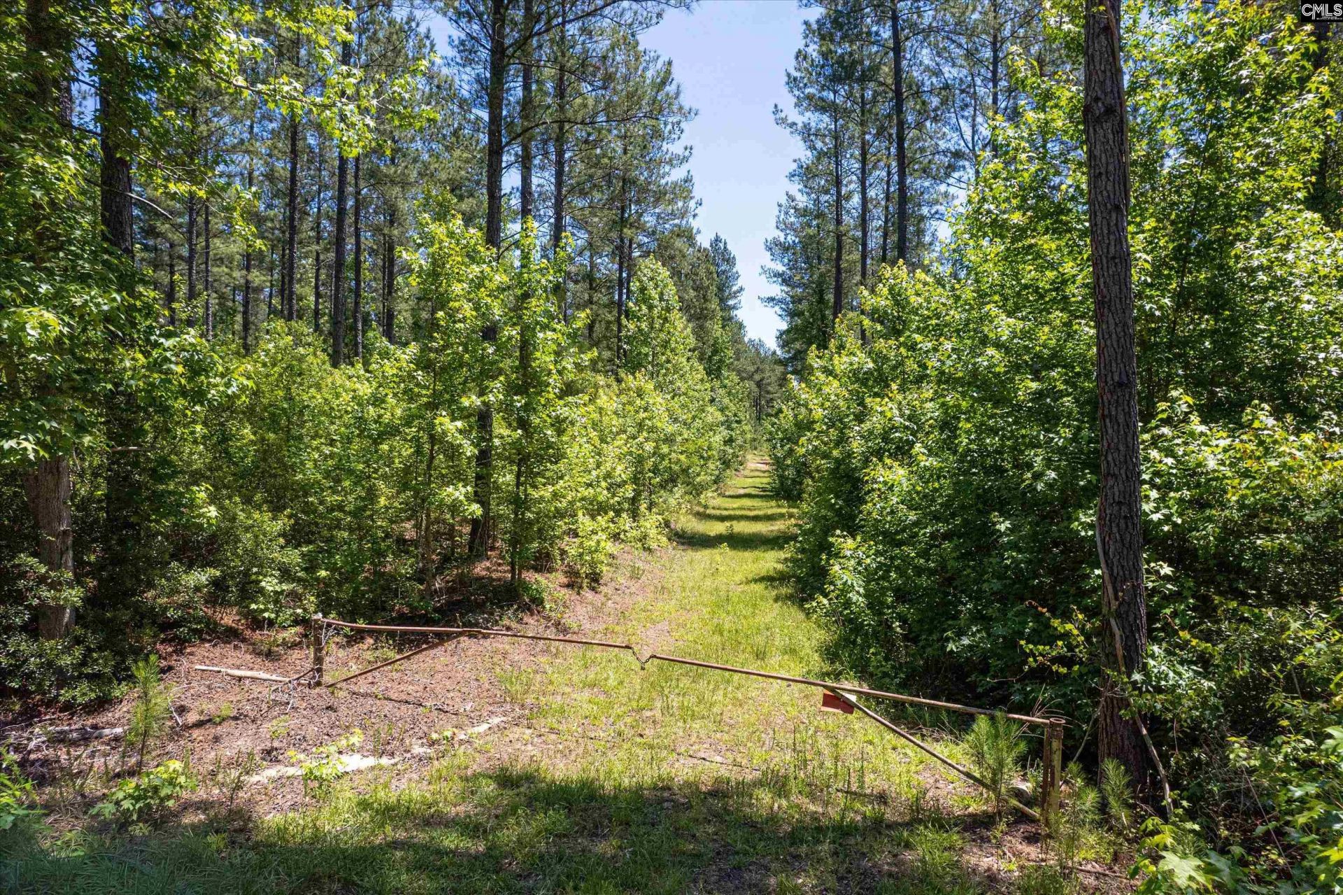 Tbd Toms Creek Road  Photo 9