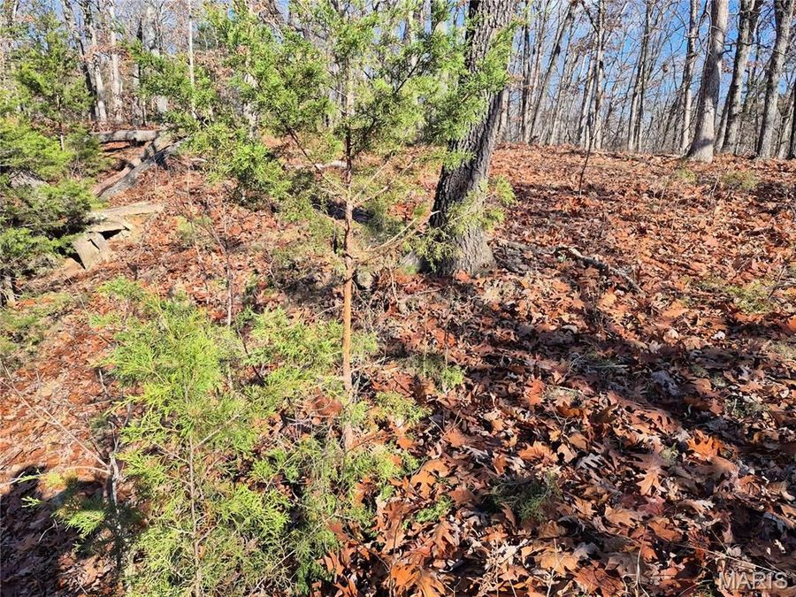 Property Image 18