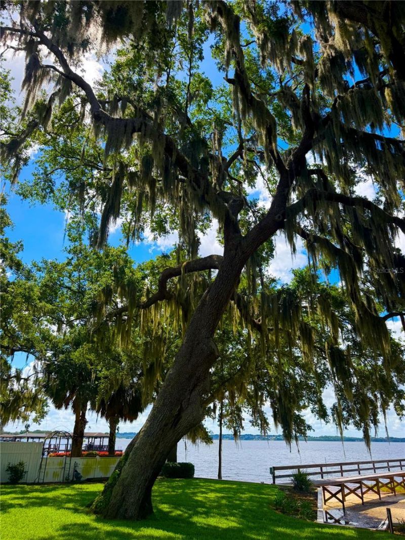 1341 W Lakeshore Drive, Clermont, FL 34711 Photo