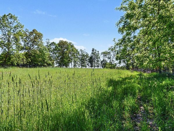 0 E Charles Road, Ionia, MI 48846