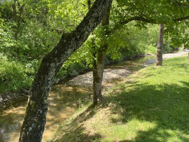 780 SKILLET BRANCH Road, Owingsville, KY 40360