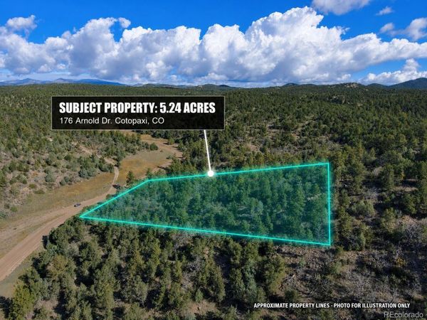 176 Arnold Drive, Cotopaxi, CO 81223