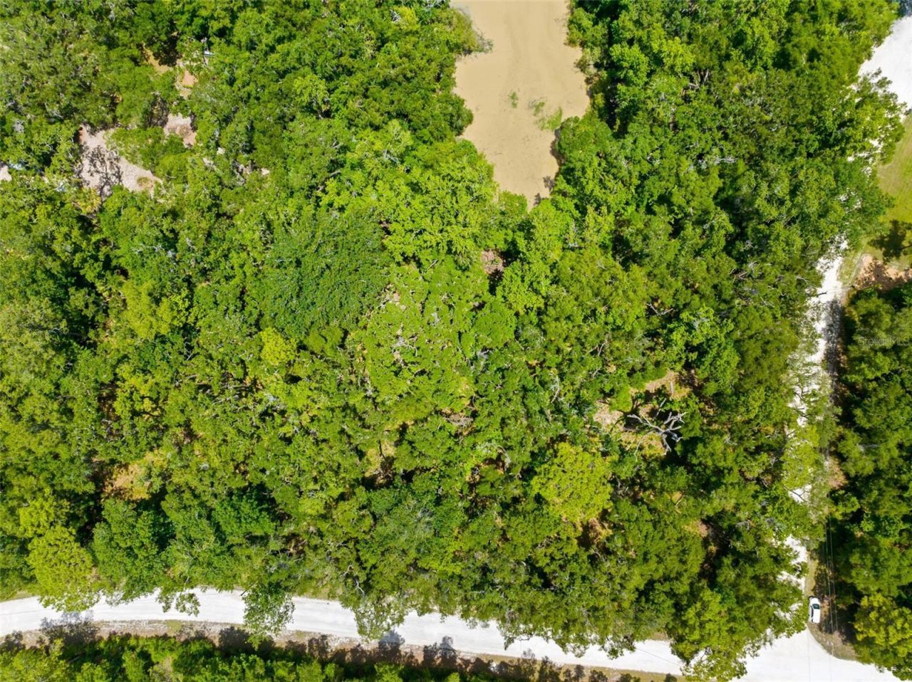 0 Ricebird Avenue, Lot #Lot 8-9, Weeki Wachee, FL 34614 Photo