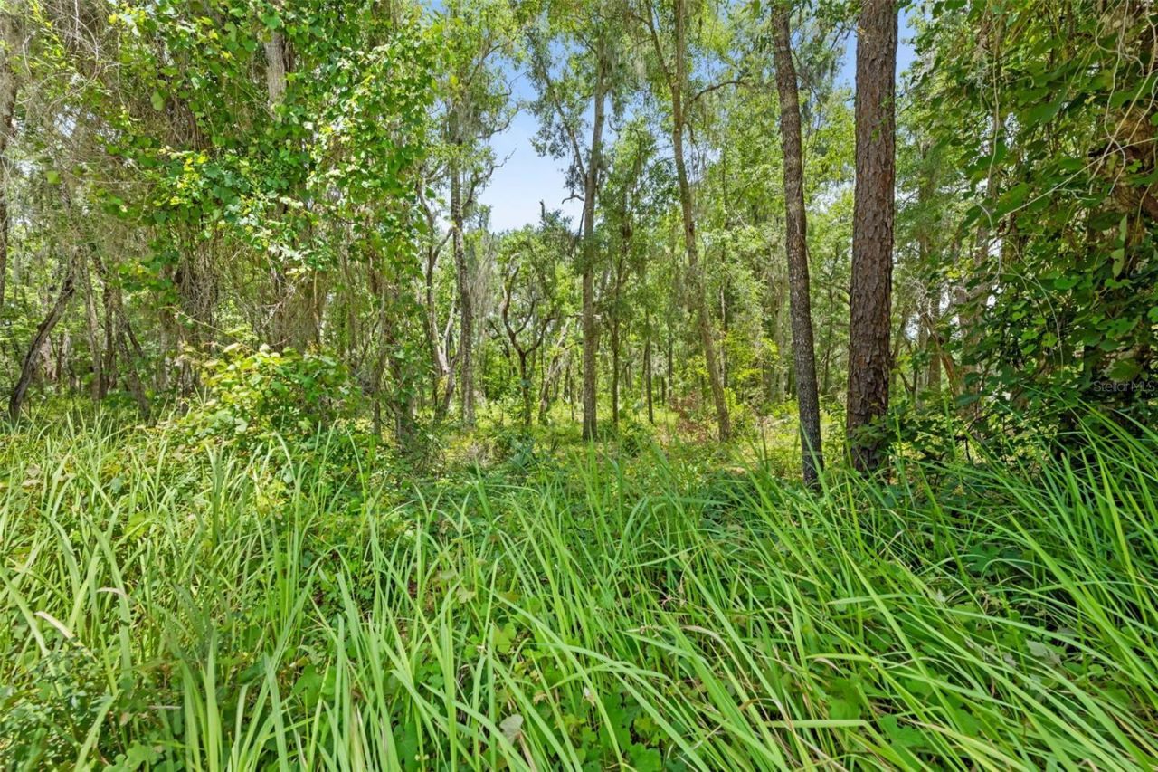 0 Ricebird Avenue, Lot #Lot 8-9, Weeki Wachee, FL 34614 Photo
