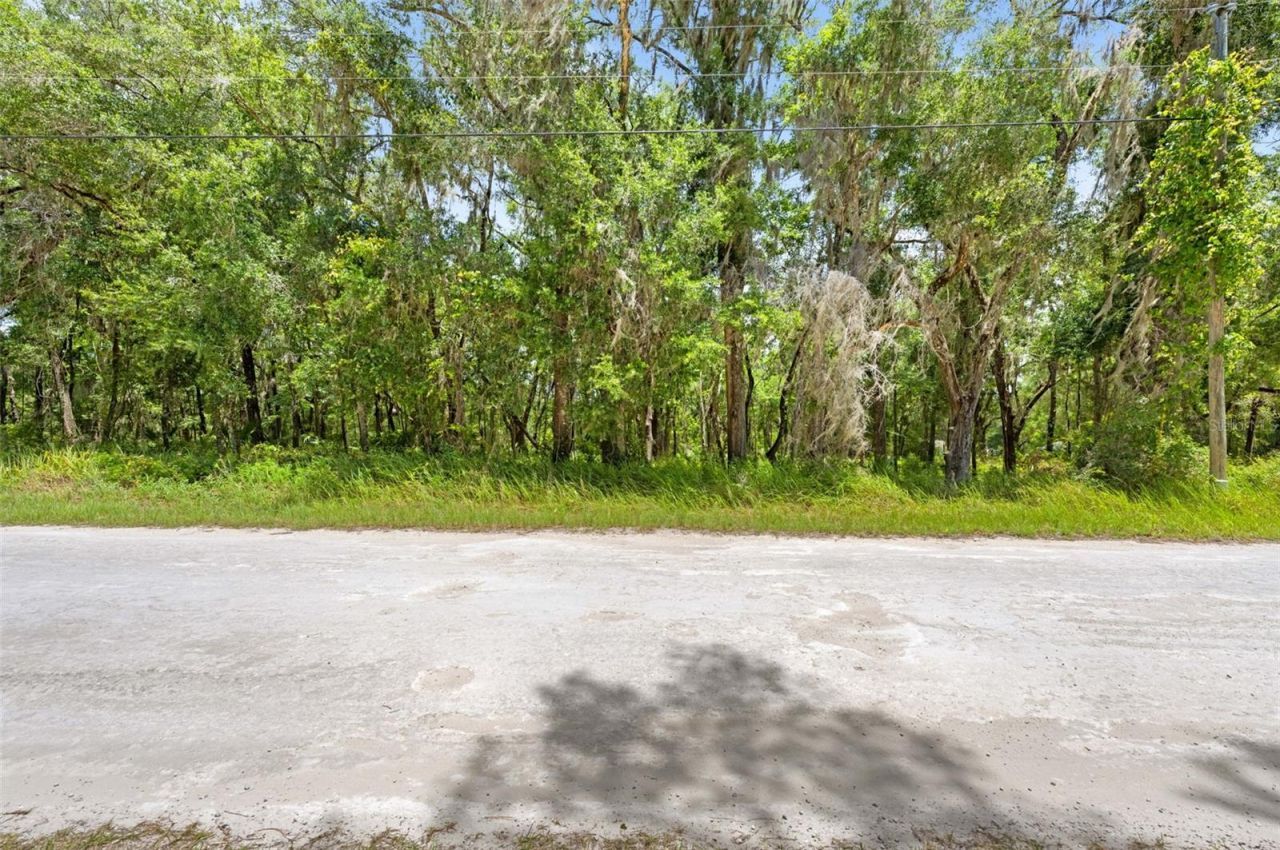 0 Ricebird Avenue, Lot #Lot 8-9, Weeki Wachee, FL 34614 Photo