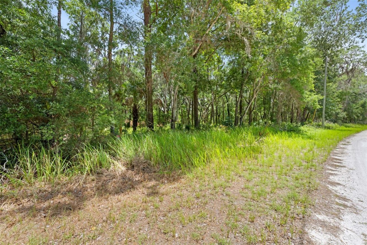 0 Ricebird Avenue, Lot #Lot 8-9, Weeki Wachee, FL 34614 Photo
