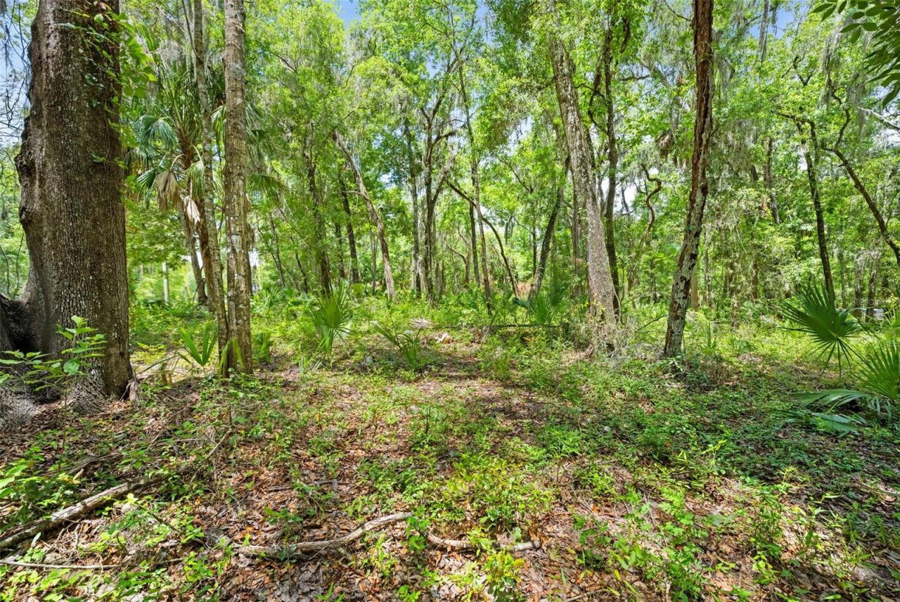 0 Ricebird Avenue, Lot #Lot 8-9, Weeki Wachee, FL 34614 Photo