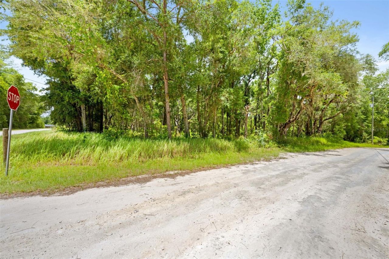 0 Ricebird Avenue, Lot #Lot 8-9, Weeki Wachee, FL 34614 Photo