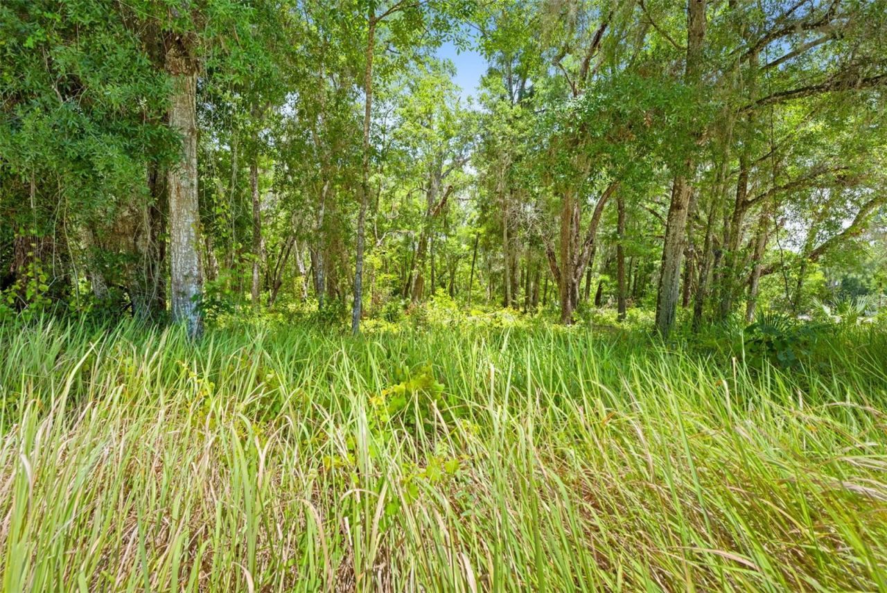 0 Ricebird Avenue, Lot #Lot 8-9, Weeki Wachee, FL 34614 Photo