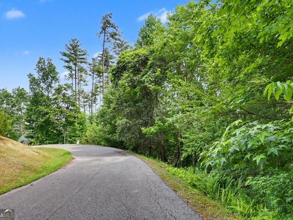 56 Walker Ridge Way, Mineral Bluff, GA 30559