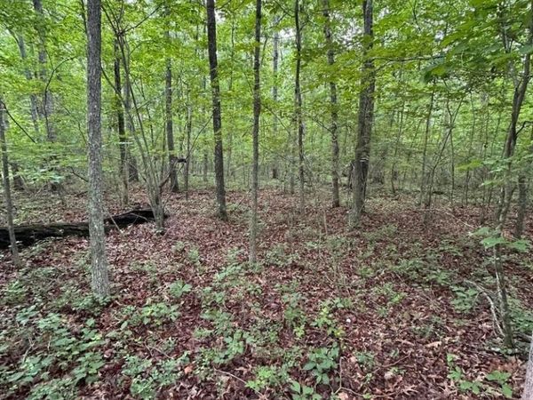 935 Veho Cir , Crossville, TN 38572