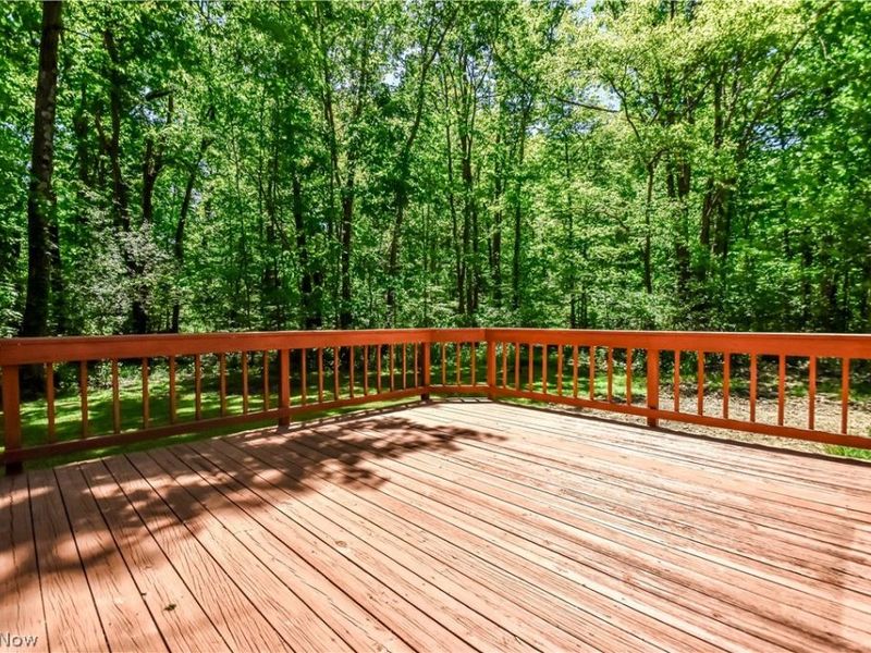 19121 Brewster Road , Aurora, OH 44202 Photo 49