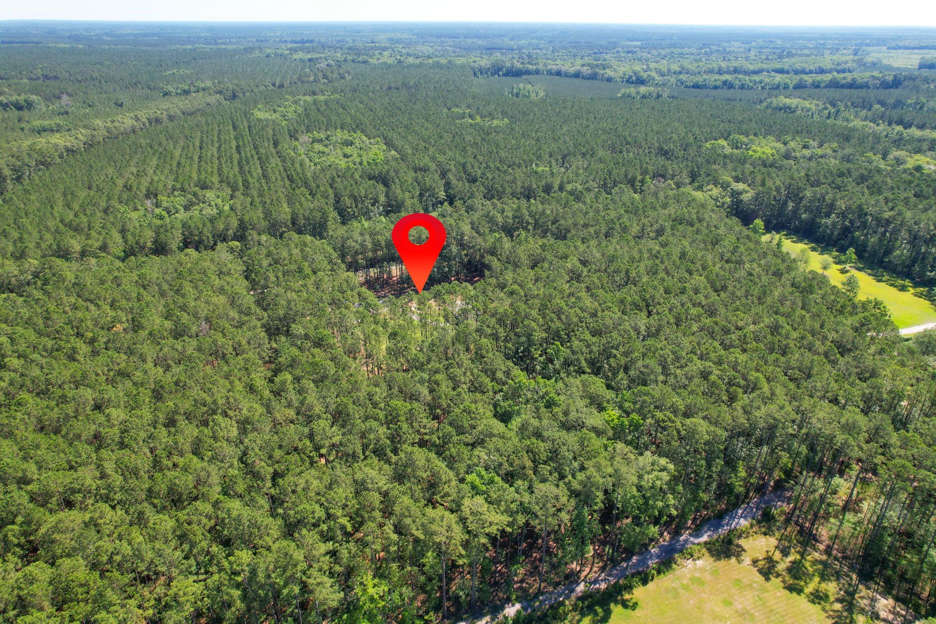 8144 Autumn Mist Lane Photo 33