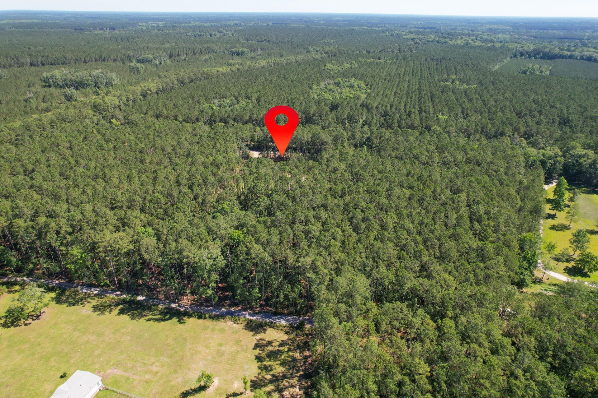 8144 Autumn Mist Lane Photo 34