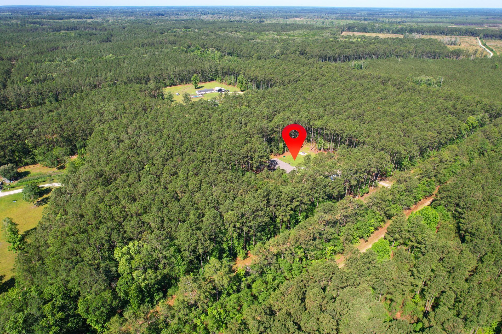 8144 Autumn Mist Lane Photo 39
