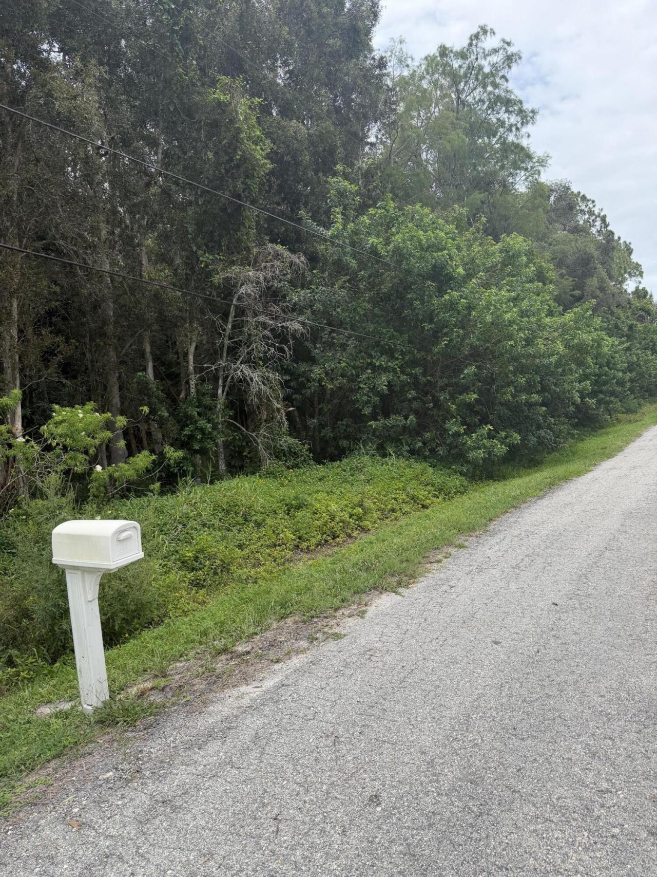Xxxx E Aquaduct Drive, The Acreage, FL 33470 Photo