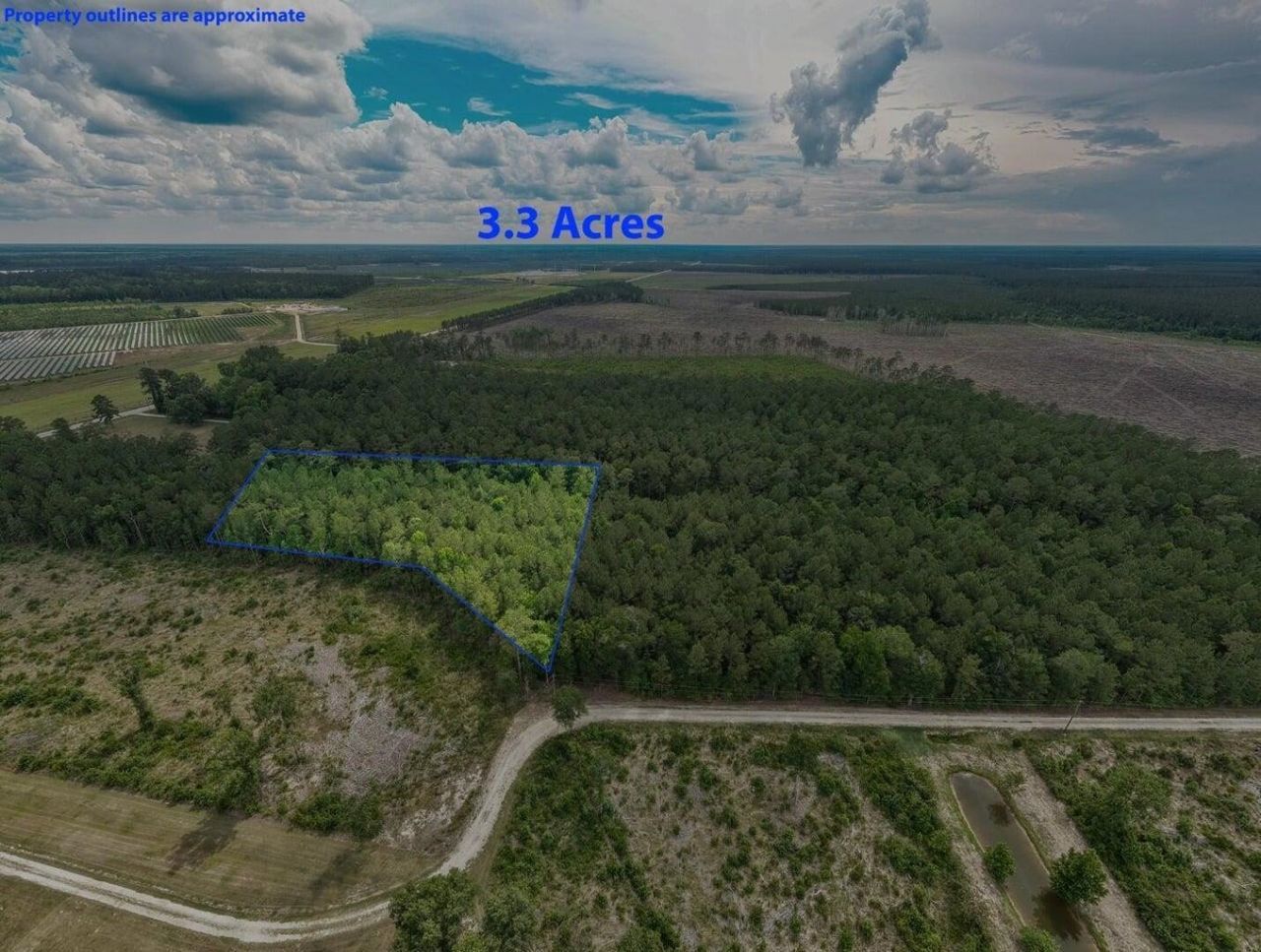 6222 Saints Delight Rd.  Photo 4
