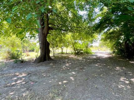 696 Justeson Ave, Gridley, CA 95948 Photo