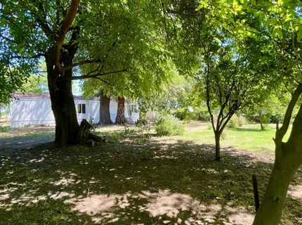 696 Justeson Ave, Gridley, CA 95948 Photo