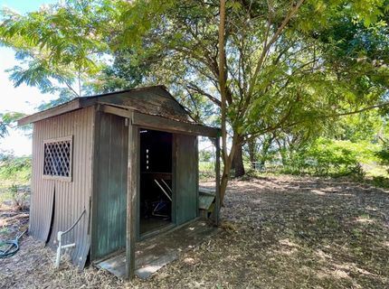 696 Justeson Ave, Gridley, CA 95948 Photo