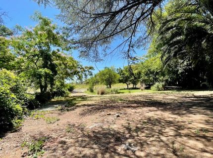 696 Justeson Ave, Gridley, CA 95948 Photo