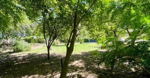 696 Justeson Ave, Gridley, CA 95948 Photo