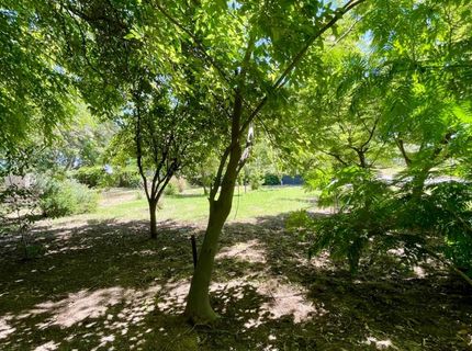 696 Justeson Ave, Gridley, CA 95948 Photo