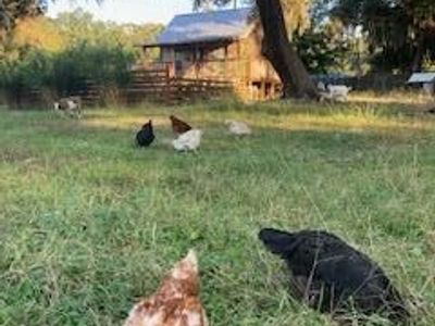 1661 Lonnie Taylor Lane, Wadmalaw Island, SC 29487