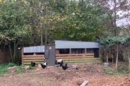 1661 Lonnie Taylor Lane photo 4