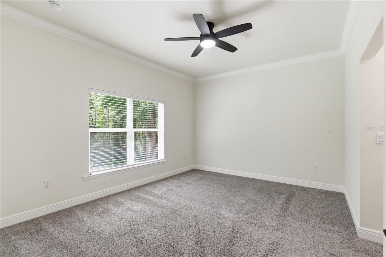 3944 Watson Drive, New Port Richey, FL 34655 Photo