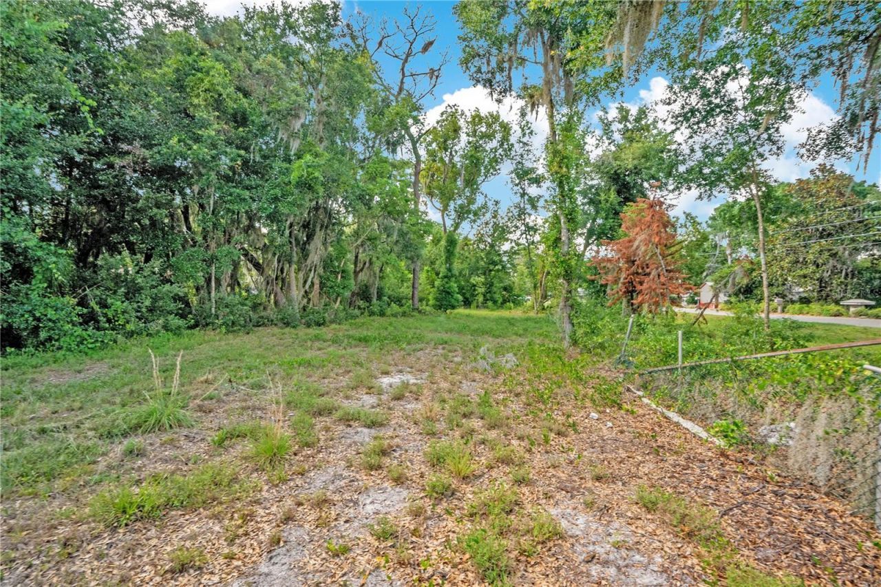 818 Lake Agnes Drive, Polk City, FL 33868 Photo