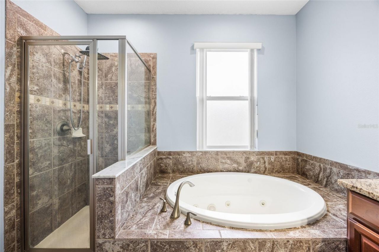 3851 Pacente Loop , Wesley Chapel, FL 33543 Photo