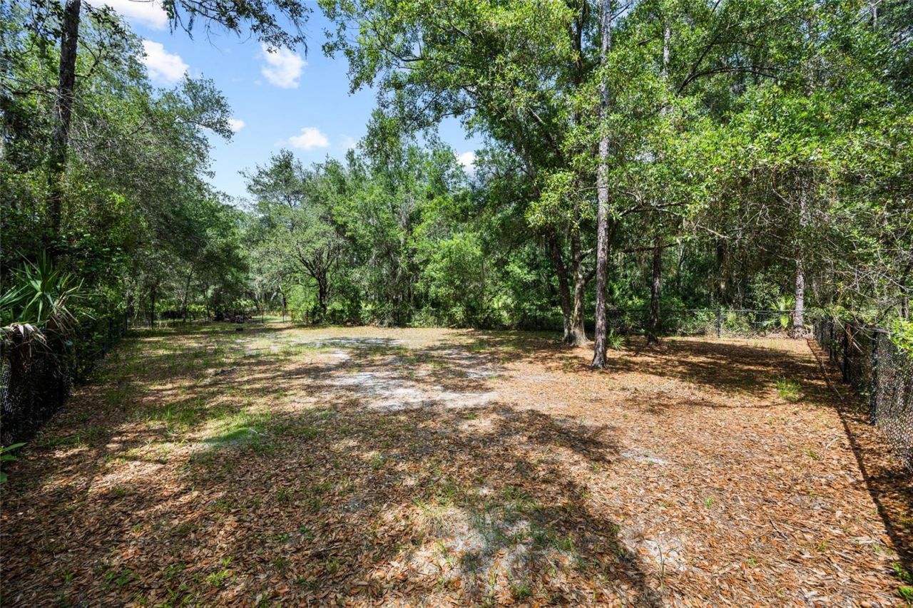 3851 Pacente Loop , Wesley Chapel, FL 33543 Photo