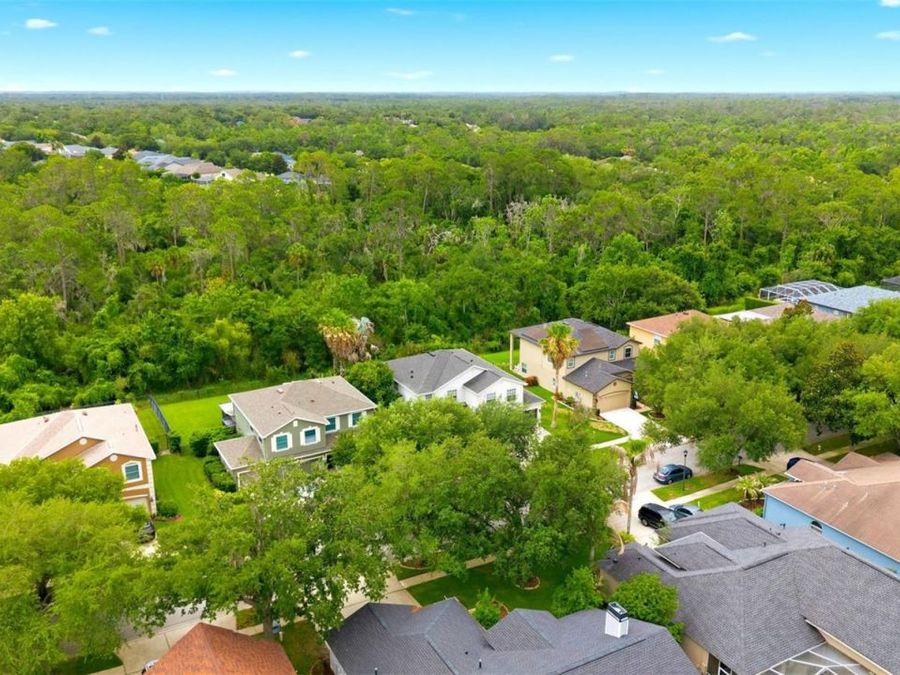 Property Image 50