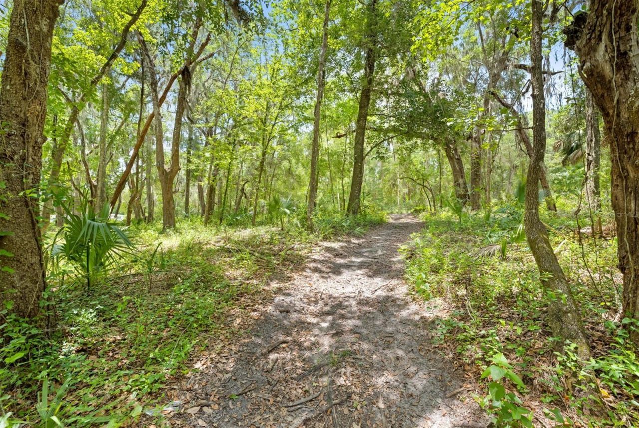 0 Ricebird Avenue, Lot #LOT 10-11, Weeki Wachee, FL 34614 Photo