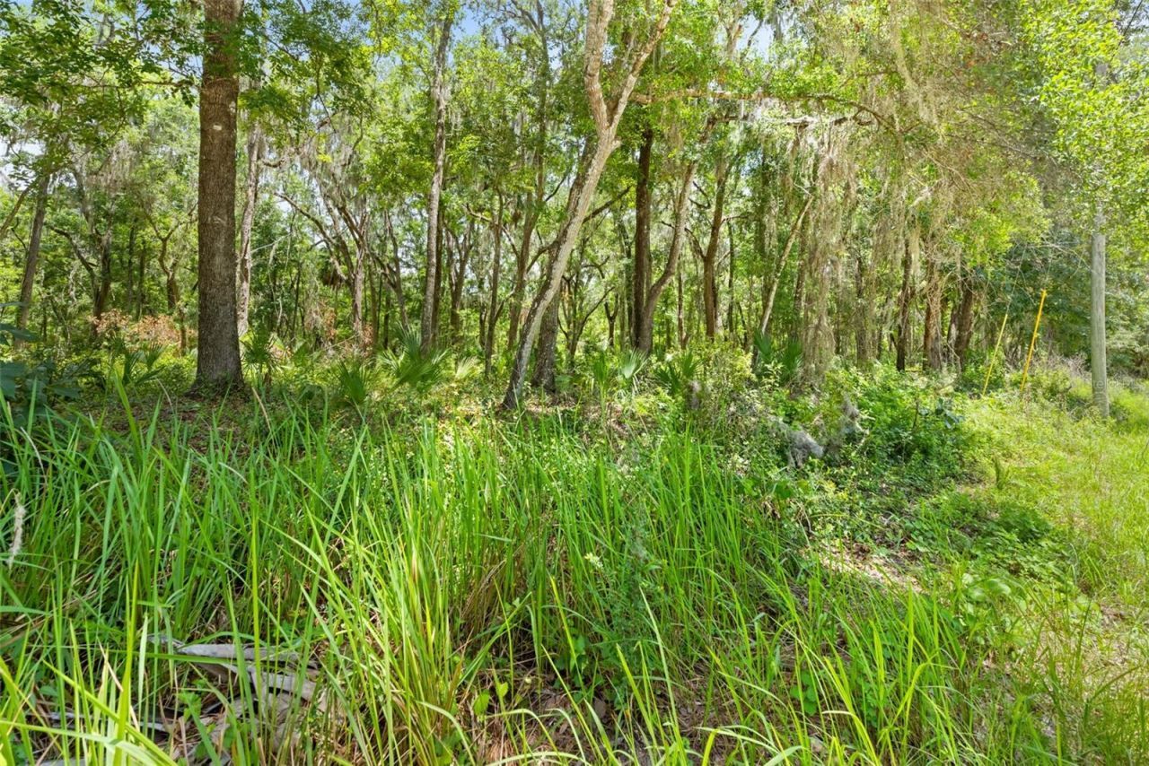 0 Ricebird Avenue, Lot #LOT 10-11, Weeki Wachee, FL 34614 Photo